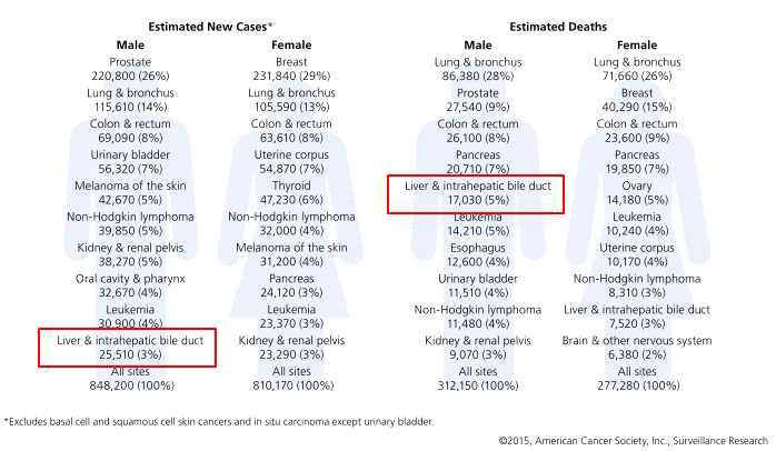 암종별 연간 발생율 및 사망률 추이