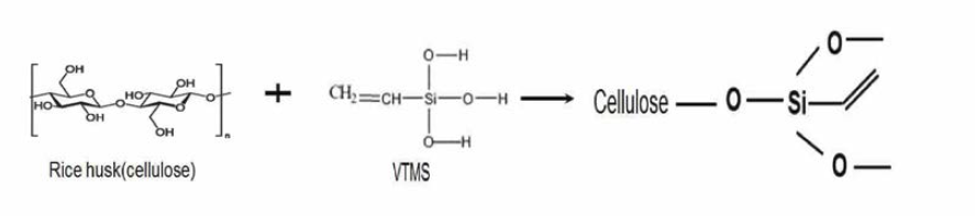 왕겨와 vinyltrimethioxy silane과의 반응 메커니즘