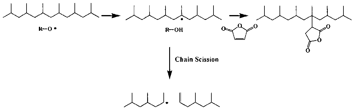 Polypropylene에 maleic anhydride grafting 공정 scheme