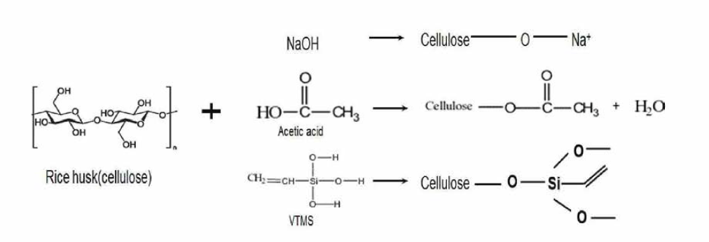 바이오매스 표면 알카리(NaOH), 실란(VTMS), 산(Acetic acid) 처리에 따른 메커니즘