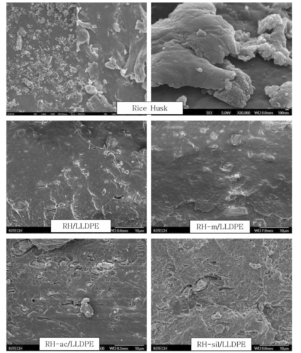 표면처리 전과 후의 왕겨를 이용한 LLDPE 필름의 FE-SEM 사진