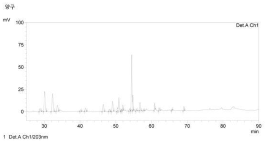 HPLC chromatogram of ginseng flower buds in Yang-gu, Gangwon