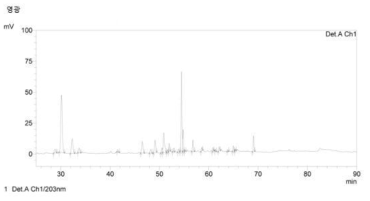 HPLC chromatogram of ginseng flower buds in Yeong-gwang, Jeonnam