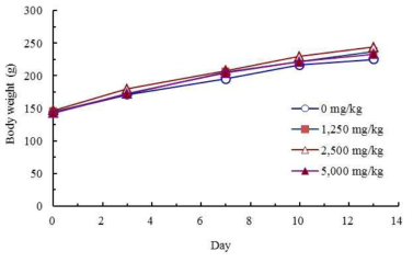 Mean body weights of female rats