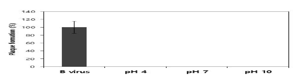 pH에 따른 SD3의 B virus 저해 활성 plaque assay