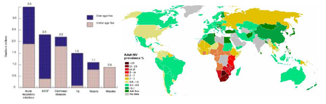 감염병에 의한 사망자수 (왼쪽)과 AIDS 감염분포 (오른쪽)