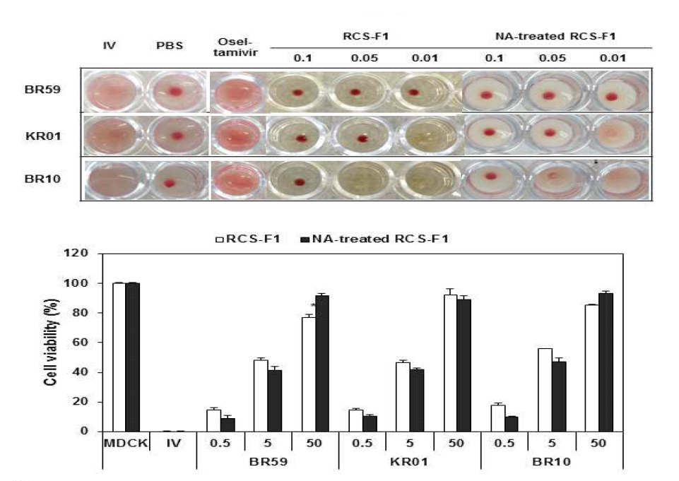 RCS-F1에 sialic acid가 함유되었는지 확인하기 위한, (위)RCS-F1에 neuraminidase(NA)를 처리한 그룹과 처리하지 않은 그룹으로 나누어 red blood cell을 이용하여 hemagglutination inhibition (HI) assay 및(아래) cell viability 분석