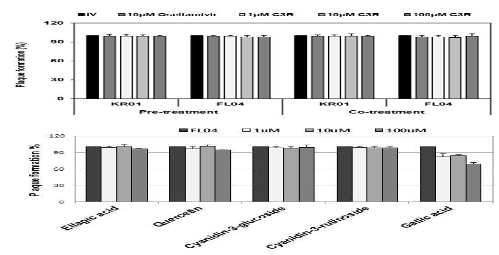 LC/MS/MS 분석으로 확인된 (위)cyanidin-3-rutinoside(C3R)의 KR01, FL04에 대한 plaque형성 저해 활성 및 (아래) FL04에 대한 ellagic acid 등 화합물의 활성