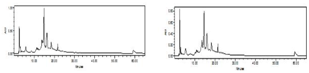건조 복분자씨부산물 (왼쪽)과 생과 복분자씨부산물 (오른쪽)의 HPLC 분석 결과