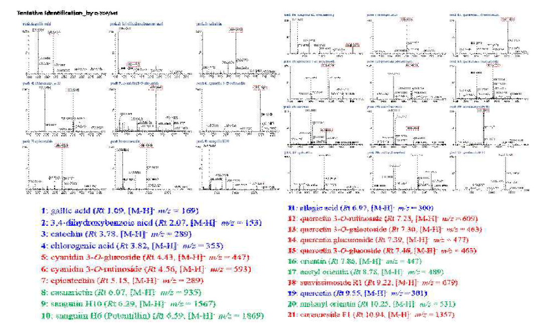 PDA λmax 크로마토그램 피크 21종을 UPLC-Q-TOF/MS 분석으로 확인한 성분