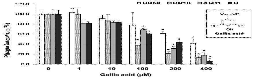 인플루엔자 바이러스 BR59, BR10, KR01 및 B에 대한 gallic acid의 농도별 저해 활성