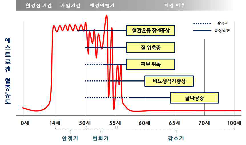 연령에 따른 폐경기 증상