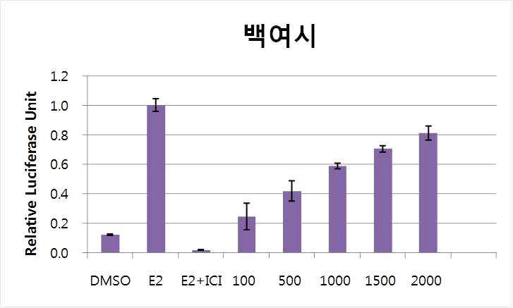 MCF-7 세포에서 백여시431의 ER-ERE 전사활성.