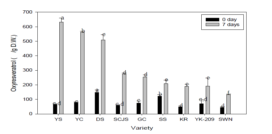 상지 품종별 숙성 전후 옥시레즈베라트롤 함량 비교.