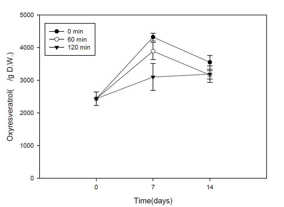 UV 조사후 상지 절편의 oxyresveratrol 역가 변화.