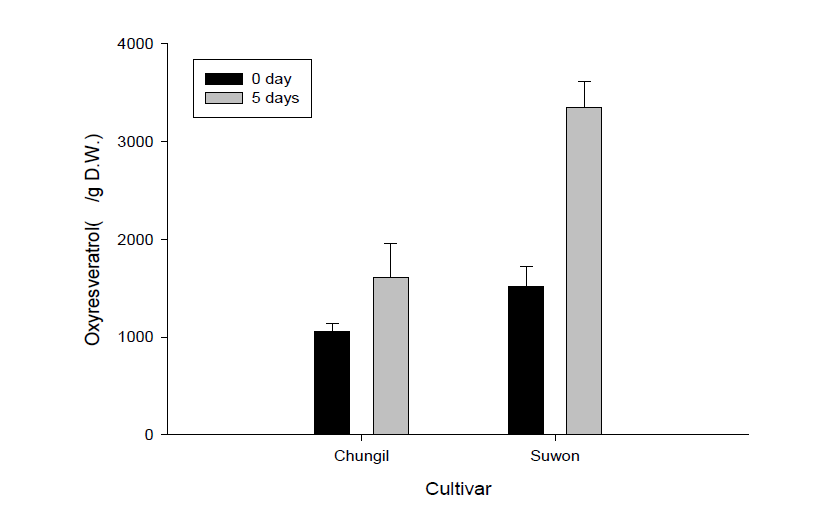 수원뽕과청일뽕상지의숙성에의한 oxyresveratrol 함량변화.