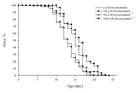 Oxyresveratrol에 의한 C. elegans의 수명연장 효과.