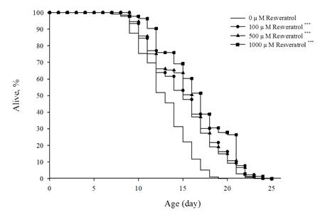 Resveratrol에 의한 C. elegans의 수명연장 효과.