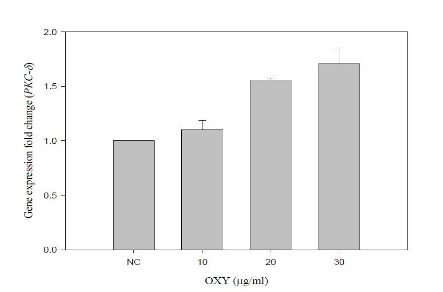 Oxyresveratrol의 PKC 경로 유전자 (PKC δ)의 발현량 변화.
