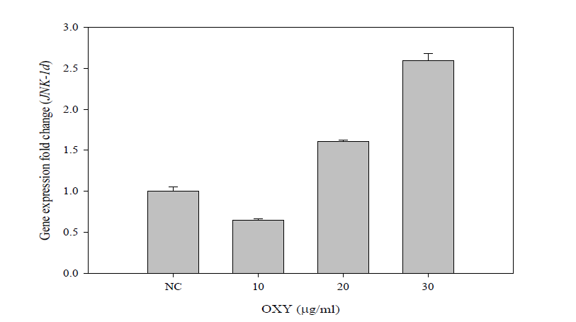 Oxyresveratrol의MAPK경로유전자 (JNK-α1)의발현량변화.