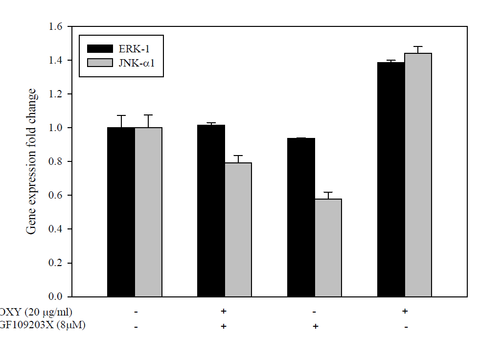 PKC inhibitor(GF109203X)의 MAPK 경로 유전자(ERK-1, JNK-α1) 발현량 변화.
