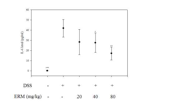 대장염모델에서의 상지추출물의 IL-6 억제효과.