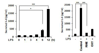 RME의 LPS로 증가된 염증성 사이토카인 IL-6 억제 효능.