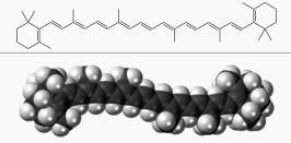 β-carotene