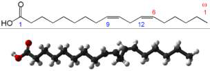 Linoleic acid.