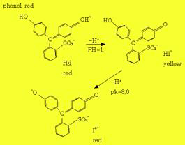 Phenol Red.