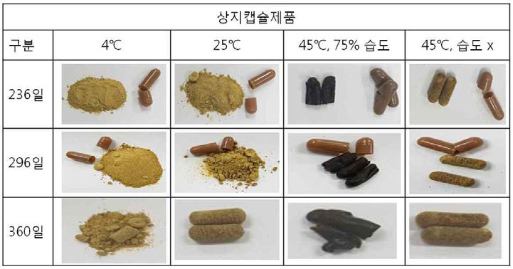 상지캡슐제품의 보존기간별 성상변화.