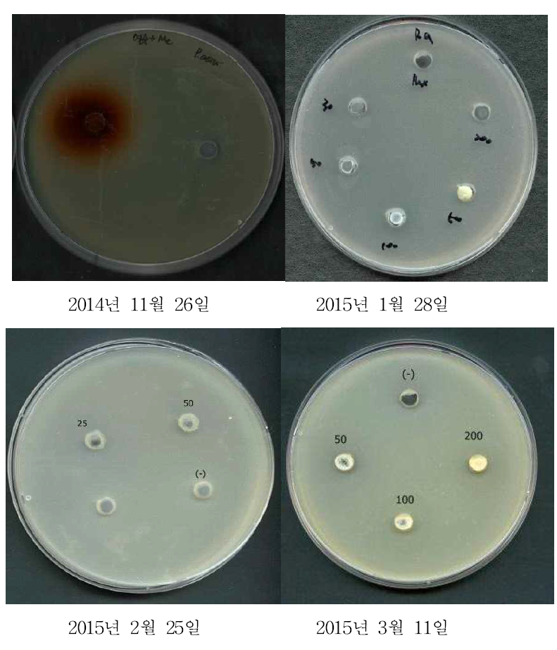 Anti-microbial activity of ethyl acetate extract according harvest time.