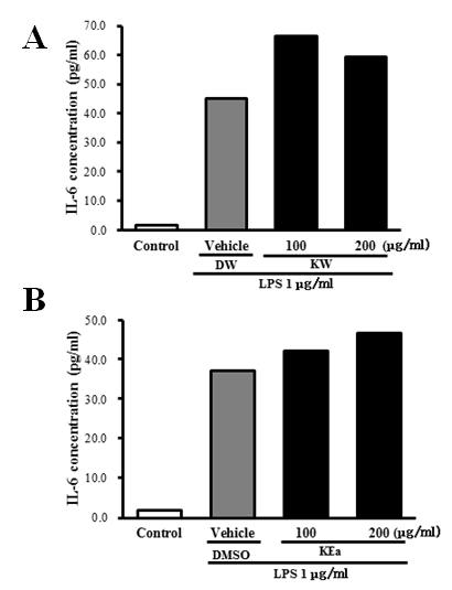 Determination of IL-6 concentration in cultured BV-2 cells.