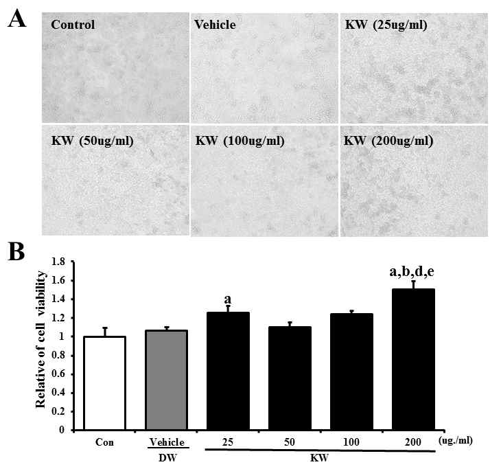 Effects of extraction of A. cochinchinensis (KW) on cytotoxicity in RAW264.7 cells.