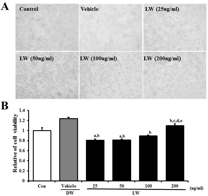 Effects of extraction of A. cochinchinensis (LW) on cytotoxicity in RAW264.7 cells. Cells