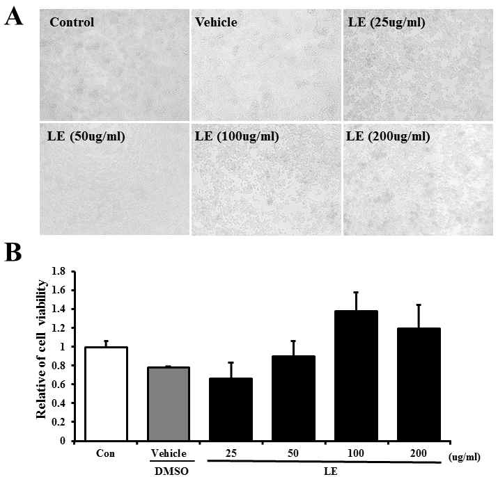 Effects of extraction of A. cochinchinensis (LE) on cytotoxicity in RAW264.7 cells.