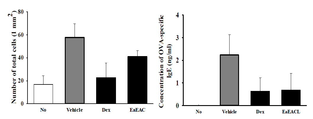 Number of total cells in the bronchoalveolar lavage (BAL) fluid and OVA-specific IgE levels in serum.