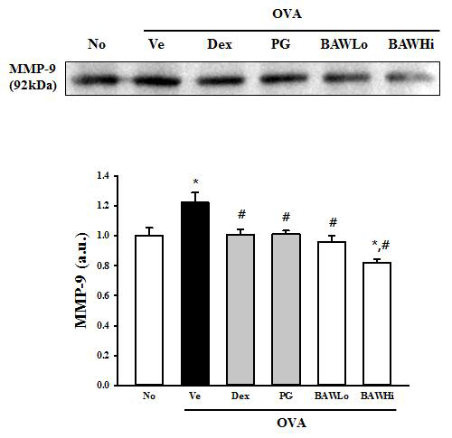 Effect on MMP-9 expression in lung tissue of OVA-induced mice after treatment of BAW