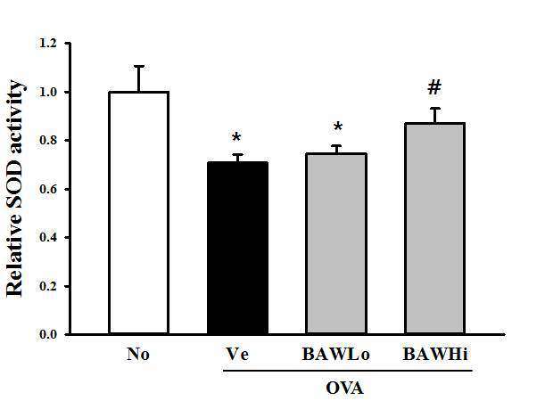 Effect of BAW on SOD activity in OVA-induced asthma model.
