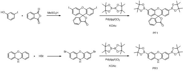HRP-비의존성 형광염료인 PF1과 PR1의 합성 방법