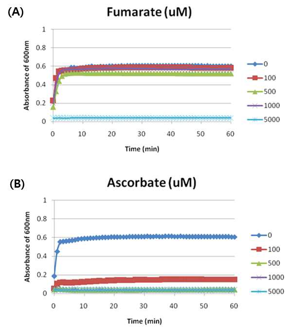 Amplex red를 이용한 발색 반응에 대한 (A) fumarate농도와 (B) sodium ascorbate 농도에 따른 발색 반응 테 스트