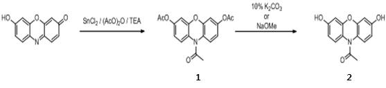 Chemical synthetic method of Amplex red