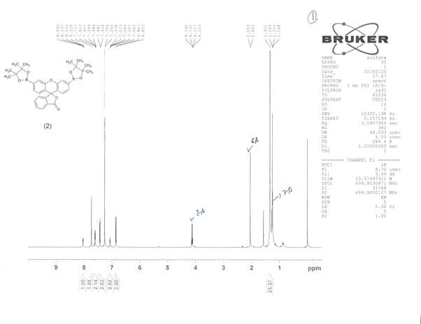 3’,6’-Bis(pinacolatoboron)fluoran, PF1 1H-NMR 스펙트럼