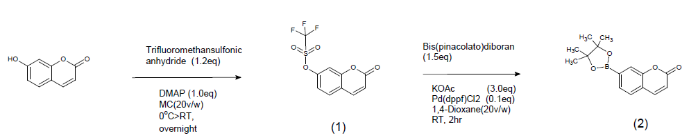 7-(Pinacolato)boro hydoxy-coumarin의 합성 방법과 그 공정도