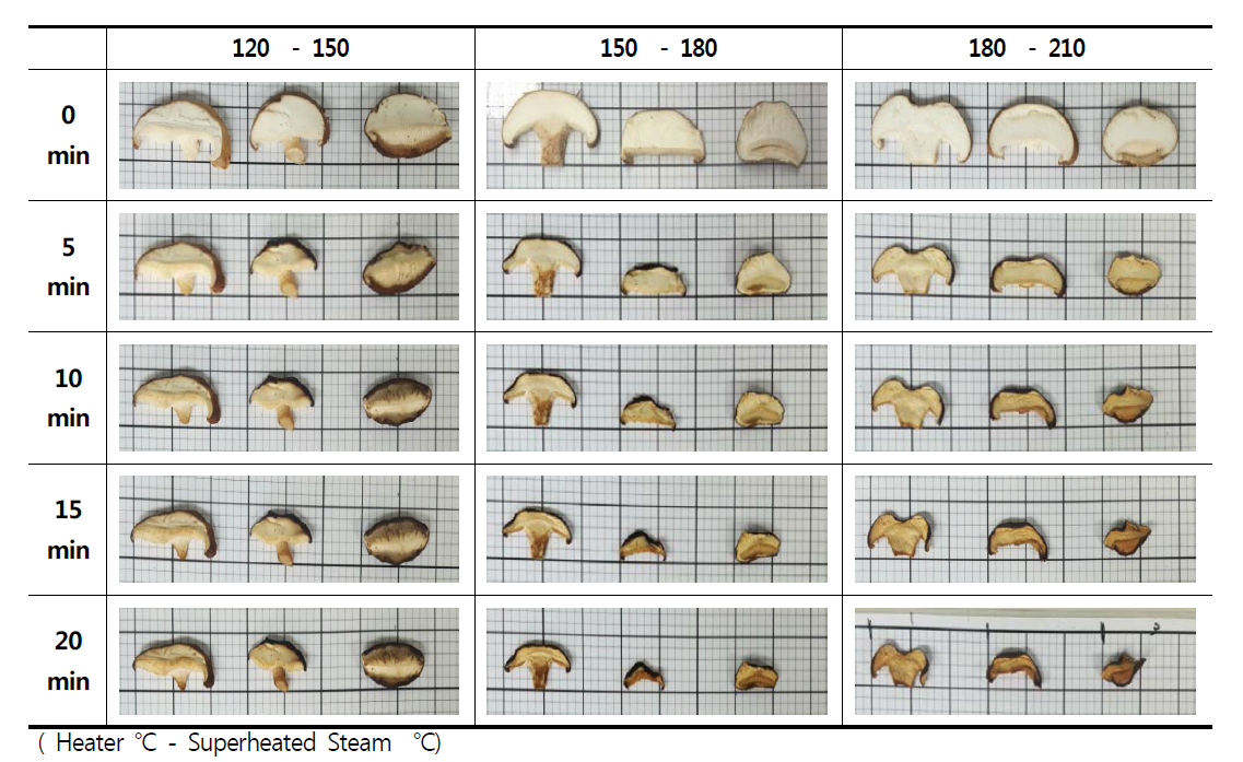 표고버섯의 과열증기 온도 및 시간에 따른 형태 변화