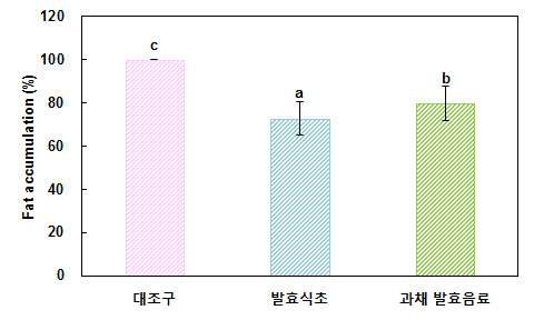 발효식초 및 과채 발효음료의 지방 축적 억제 효과