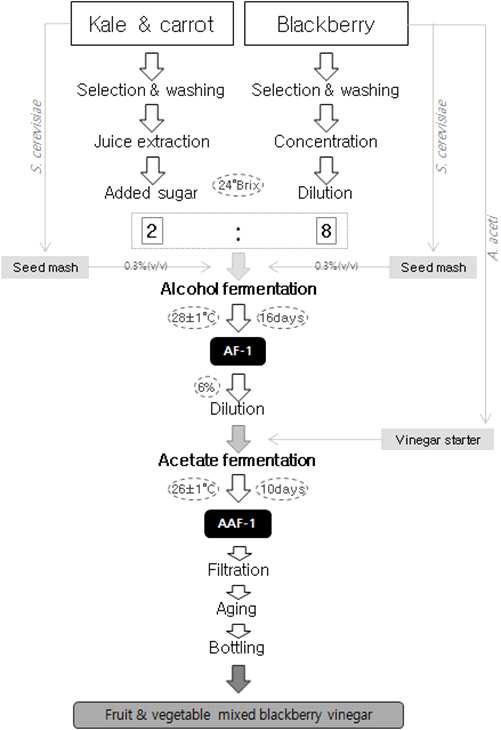 최종 과채 발효식초의 제조 공정도