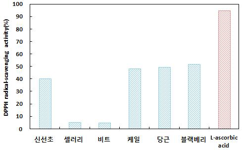 과채주스의 DPPH radical 소거능