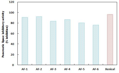 혼합 과채 주스 알코올 발효산물의 pancreatic lipase 저해활성