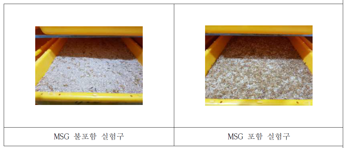 MSG투입에 따른 활동성 및 생육 비교